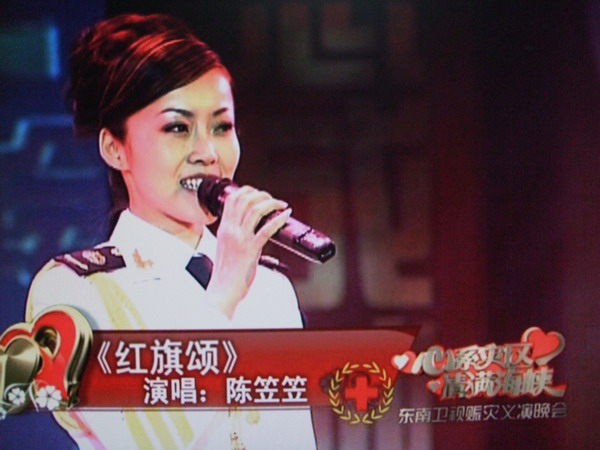 东南卫视赈灾义演晚会